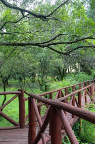 Mara Kimana Camp — photo 2